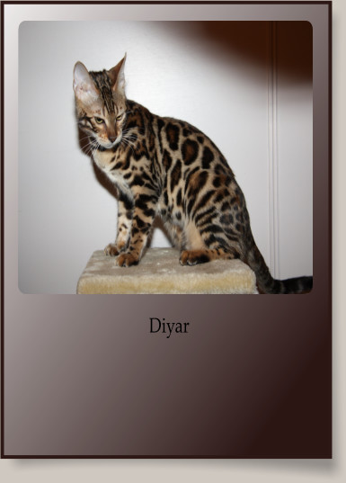 Diyar